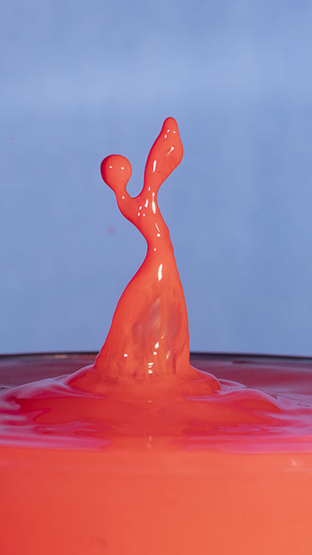 3rd PrizeCreative Artistry In Class 2 By Larry Stamm For Red Lady SEP-2025.jpg